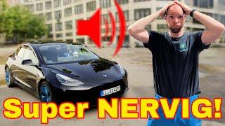 Wichtiger Tesla Trick: Nerviges Pfeifen eliminieren OHNE REPARATUR