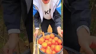 CAINA FRUIT CUTTVIDEO IN