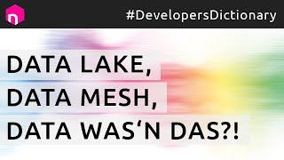 Data Lake, Data Mesh, Data was'n das?! // deutsch