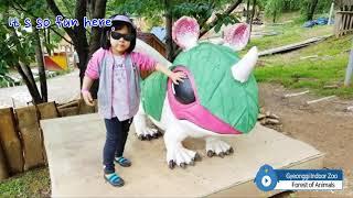 indoor children's zoo /Osan Animal Forest in Gyeonggi-do, South Korea,