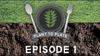 Pasco's Plant To Plate 7.20.20