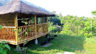 Nagtanim  at Nag  IHAW  kami Ng Barbecue Dito sa aking bagong Bahay KUBO