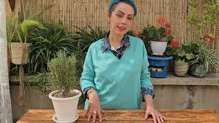 یه معرفی کوتاه از خودم.....