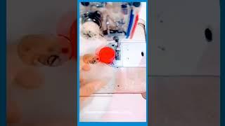 "This Tech Makes Sewing Clothes Super Easy!" #shorts  #TechNova #TechMadeSimple