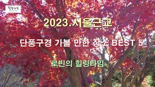 서울근교 단풍구경 가볼 만한 명소 BEST 5