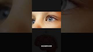 窺探夢的秘密：快速眼動睡眠行為障礙的啟示