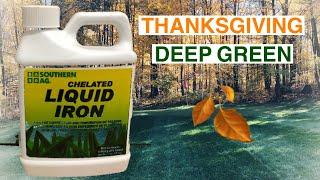 THANKSGIVING LAWN PREP//CHELATED LIQUID IRON // My son running from the drone lol