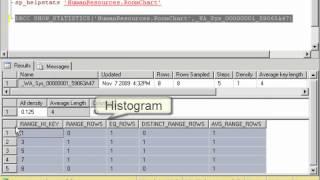 SQL2008DevVol3 ab12 1   IndexStatisticsGoodVideo