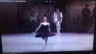 NATALIA OSIPOVA -swan lake