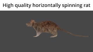 High quality horizontally spinning rat