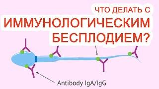 Что делать с иммунологическим бесплодием? / Доктор Черепанов