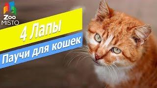 Консервы для кошек Клуб 4 лапы | Обзор паучей для  кошек Клуб 4 лапы | Club 4 Paws fore cats review