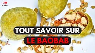 Les BIENFAITS du BAOBAB pour la santé et ses dangers | Alimentation et Nutrition | Dr Santé