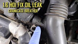 1.6 HDI FIX OIL LEAK From Crankcase Breather Peugeot Citroen