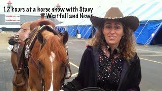 12 hours at a horse show with Stacy Westfall and Newt