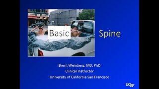 Basic spine imaging - ch 1 - introduction and anatomy