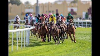 AL SABEQ Competition - H.H. Sheikh Mohammed bin Khalifa Al Thani Trophy