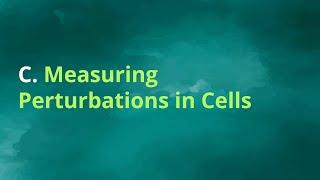 Cancer Immunotherapy DS Challenge - Lecture 2, Part  C - Tech - Measuring Perturbations in Cells