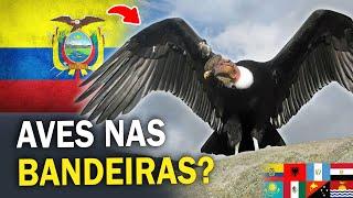 Quais as AVES que estão nas BANDEIRAS dos PAÍSES? Conheça as espécies!