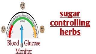 शुगर को कंट्रोल करने के लिए क्या खाए( what should diabetic patients eat)