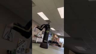 Taekwondo Kicks and Tricks