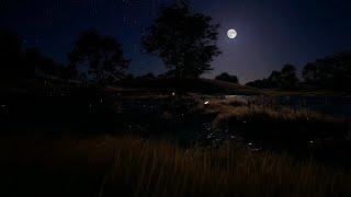 The Windswept Grasslands on a Moonlit Night. Wind Sounds & Ambiance for Good Sleep