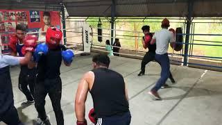 today’s Controlled Sparring Session with light weight Speedy Boxers | Reyal For U | Indian boxing