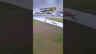 A brave dog saves a 6 year old boy’s life! ️ #shorts