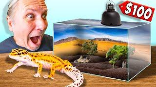 Cheap $100 Leopard Gecko Setup Tutorial !