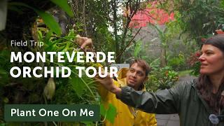 Rainy Day ORCHID GARDEN Tour in MONTEVERDE, COSTA RICA — Ep. 404