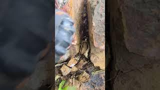 这个工作有没有挑战性 #翡翠 #珠宝玉石
