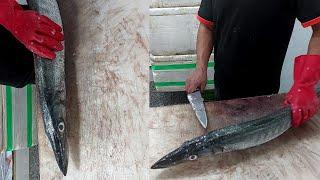 The best way to fillet barracuda fish at home | See and learn how to cut the sea wolf fish