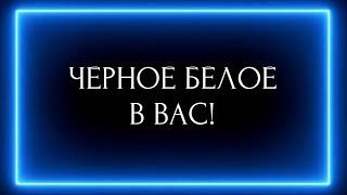 ЧЕРНО-БЕЛОЕ В ВАС! 