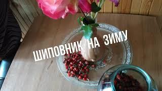 Шиповник на зиму- кладезь витаминов!