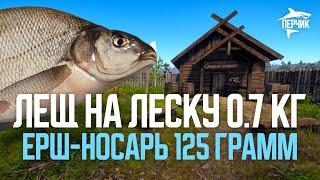 ЛЕЩ на леску 0.7 КГ и носарь - Форумные турниры ● Русская рыбалка 4 ● РР4