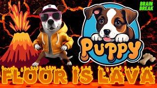 Puppy Floor Is Lava Challenge: Kids Exercise & Brain Break Game! | Dance & Move Kids videos for Kids