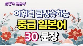 어휘력 급상승하는 중급 일본어 30 문장 #104