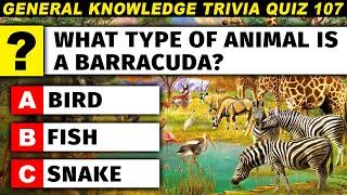 Trivia Quiz To Test Your Brain Power - What Animal Is A Barracuda? Episode 107