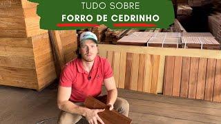 Forro de Cedrinho - Tudo que você precisa saber !