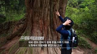 [EBS 세계테마기행] 중국 한시 기행2 1~4부