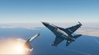 DCS: AIM9M in the face