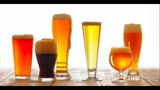 Make your own beer easily: Top 4 best brewing systems for your home!