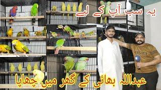 10 July 2024 Abdulla Bhai k gher py chhapa#ranapets #birds 