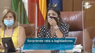 Rata irrumpe en sesión del Parlamento de Andalucía, en España