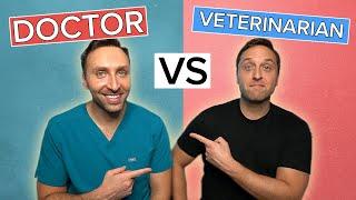 PHYSICIAN vs VETERINARIAN NEUROSURGEON