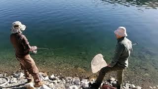 Malatya Trofe Alabalık Avı Kalama Sesine Doyacaksınız (Trout Fishing)