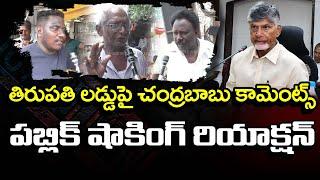 Vijayawada Public Reaction About Chandrababu Comments On Tirupati Laddu : PDTV News