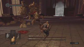 DARK SOULS / 竜狩りオーンスタイン、処刑者スモウ Dragon Slayer Ornstein, Executioner Smough