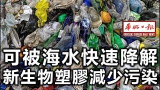 华侨日报时事新闻：23-11-2024  可被海水快速降解 新生物塑胶减少污染