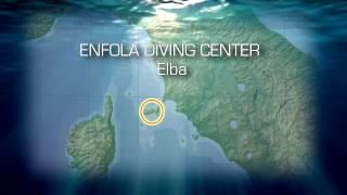 Enfola Elba - EUDI 2017